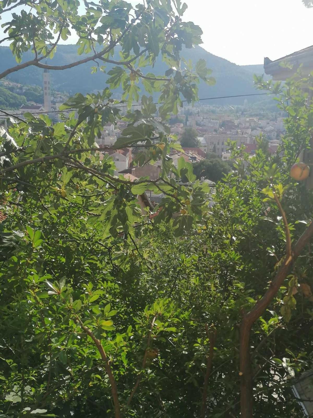 Guesthouse Panorama Mostar Room photo